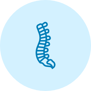 Spine